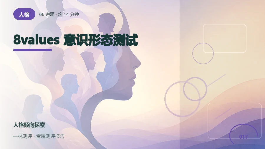 公共议题上的价值取向自评(66题)封面